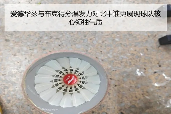 爱德华兹与布克得分爆发力对比中谁更展现球队核心领袖气质