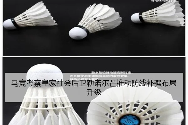 马竞考察皇家社会后卫勒诺尔芒推动防线补强布局升级