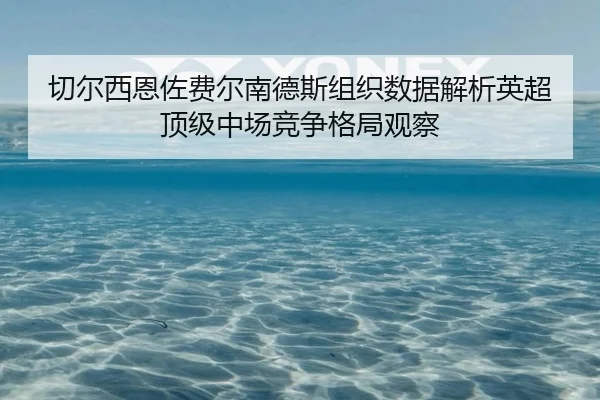 切尔西恩佐费尔南德斯组织数据解析英超顶级中场竞争格局观察